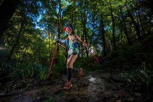 BIB: 
                            <button type="button" onclick="openModal(19239935)" class="btn btn-primary btn-sm float-right btn-popup" data-toggle="modal" data-target=".modal-high-quality">
                        <i class="fas fa-shopping-cart"></i> Add to Cart
                    </button>
                                            <button type="button" onclick="isThisMe(19239935, true)" class="btn btn-success btn-sm float-right btn-popup btn-isme hidden" data-toggle="tooltip" data-placement="bottom" title="นี่คือรูปของคุณใช่ไหม คลิกที่นี่เพื่อเอาเข้าอัลบั้ม">
                        <i class="fas fa-plus"></i> Add to album
                    </button>
                    <button type="button" onclick="isThisMe(19239935, false)" class="btn btn-warning btn-sm float-right btn-popup btn-isnotme hidden">
                        <i class="fas fa-ban"></i> Remove from album
                    </button>